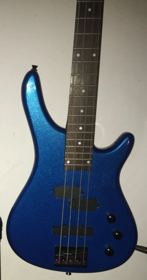 Guitare basse 4 cordes + Ampli basse ROLAND
