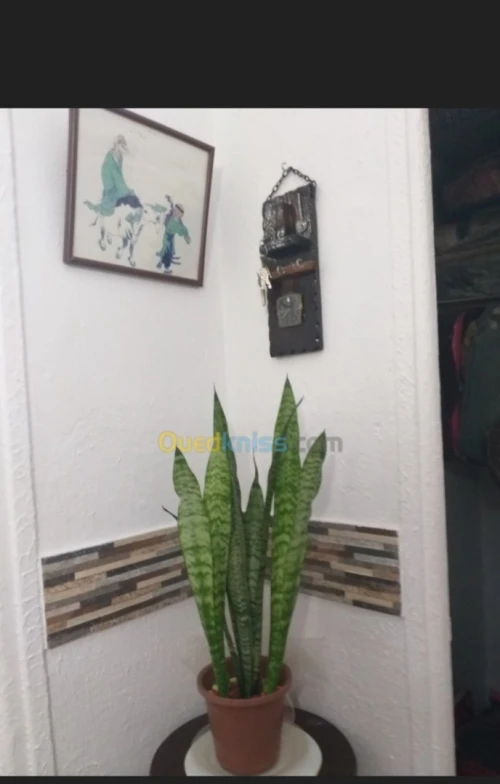 Vente Appartement F3 Oran Oran