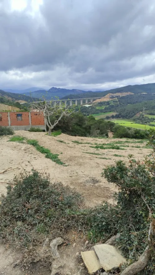 Vente Terrain Tipaza Cherchell