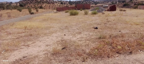 Vente Terrain Bouira Ahl el ksar