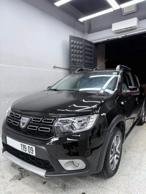 Dacia Sandero 2019 Stepway techroad