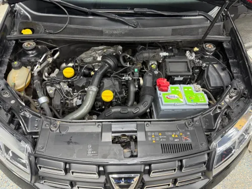 Dacia Sandero 2019 Stepway Techroad