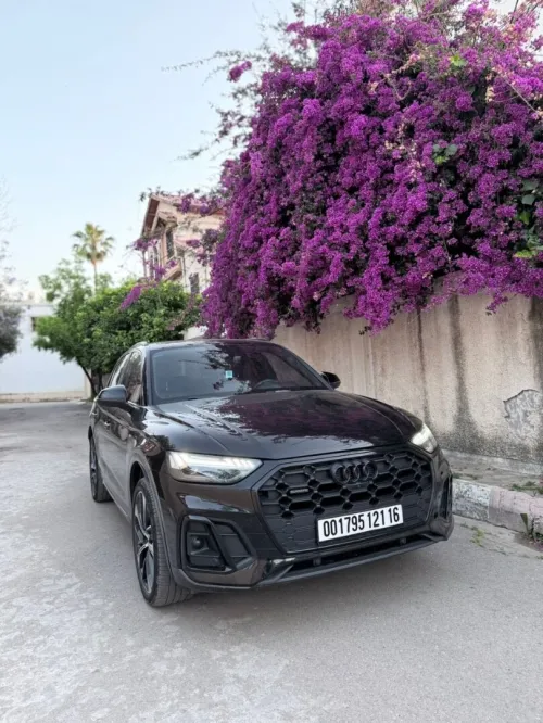Audi Q5 2021 S Line