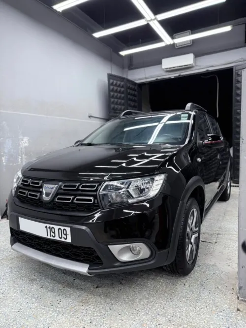 Dacia Sandero 2019 Stepway Techroad