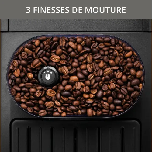 KRUPS EA810870 SÉRIES