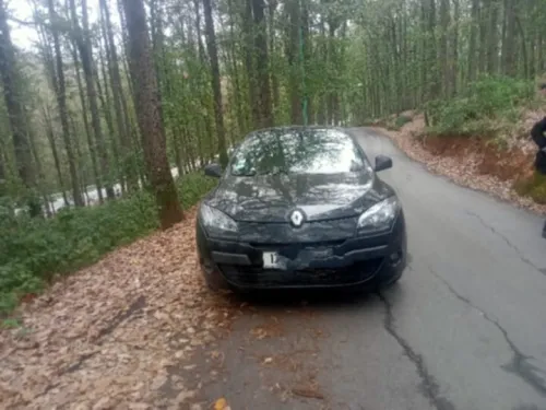 Renault Megane 3 2010 Privilege