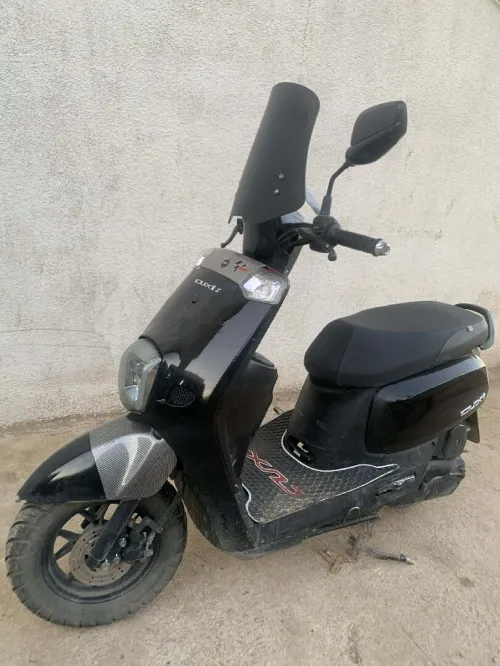 vms couxi 1 2024