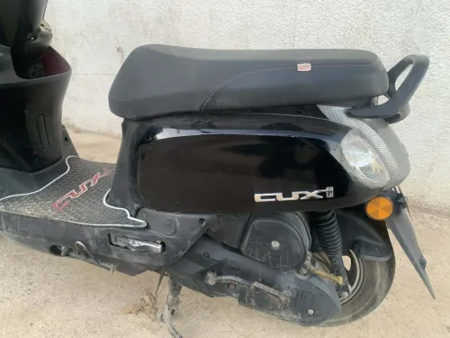 vms couxi 1 2024