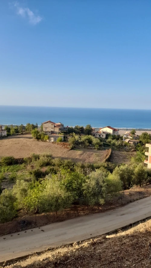 Vente Terrain Bejaia Aokas