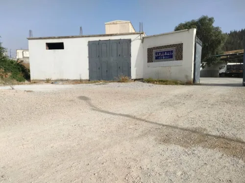 Vente Hangar Constantine Zighoud youcef