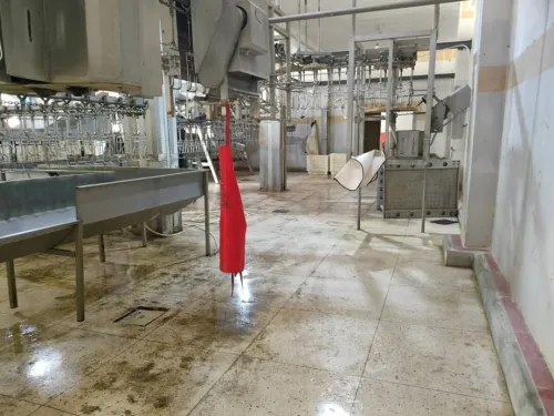 Vente Hangar Constantine Zighoud youcef
