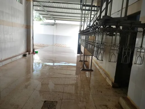 Vente Hangar Constantine Zighoud youcef