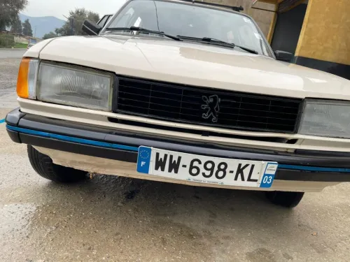 Peugeot 305 1988 Berak