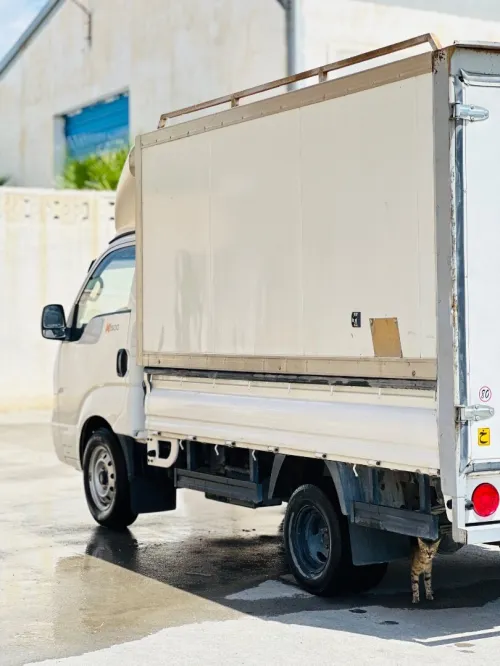 Kia K2500 2019 K2500