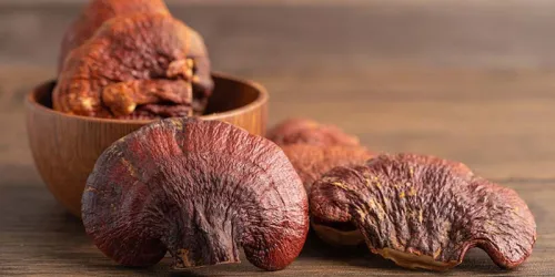 champignons en poudre