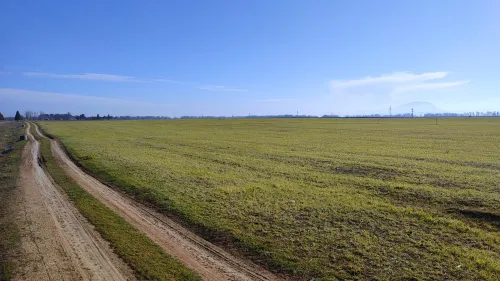 Vente Terrain Agricole Sétif Setif