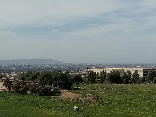 Vente Villa Boumerdès Ouled moussa