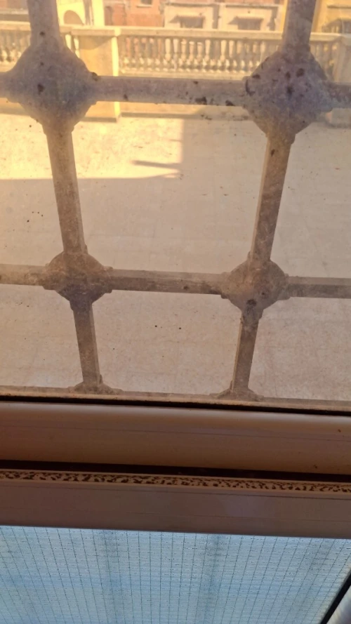 Location Appartement Niveau de villa Studio Alger Bab ezzouar