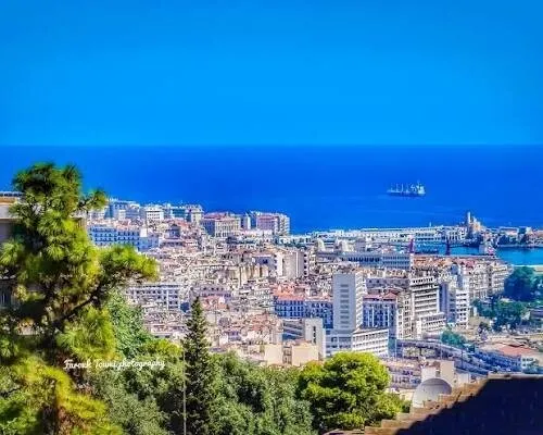 Location Appartement F3 Alger El mouradia 2