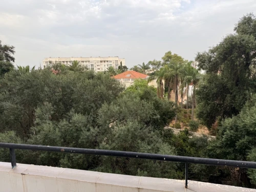 Location Appartement F3 Alger El mouradia 3