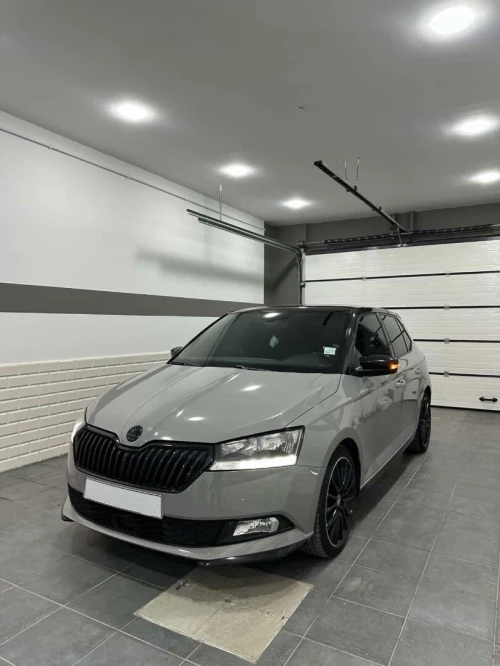 Skoda Fabia 2021 Monte Carlo