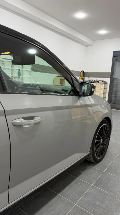 Skoda Fabia 2021 Monte Carlo