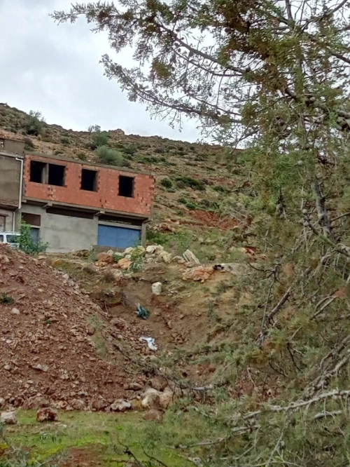 Vente Terrain Tlemcen Beni mester