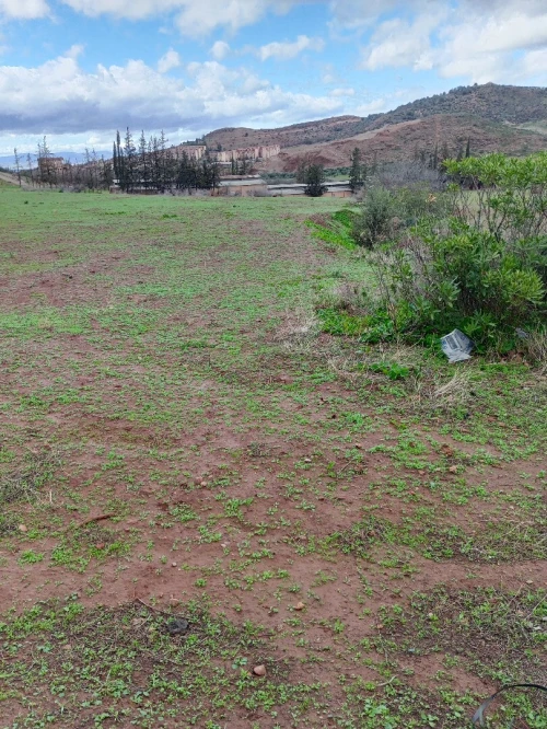 Vente Terrain Tlemcen Beni mester