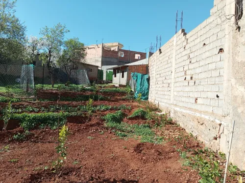 Vente bien immobilier Tlemcen Mansourah
