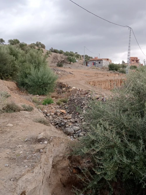Vente Terrain Béjaïa Boudjellil