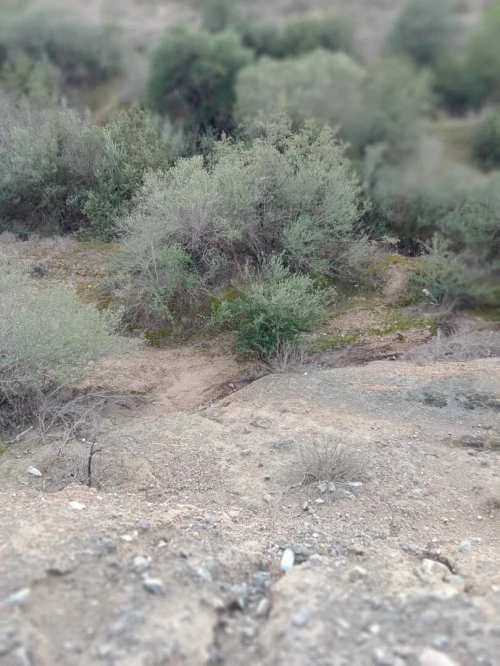 Vente Terrain Béjaïa Boudjellil