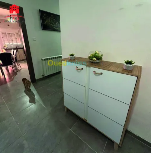 Location Appartement F3 Alger Dely brahim