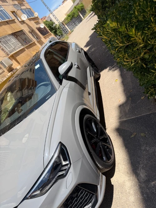 Audi RS3 2024 Rs Q3