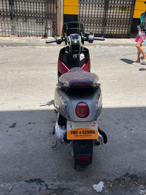 Vms Gemma 2026