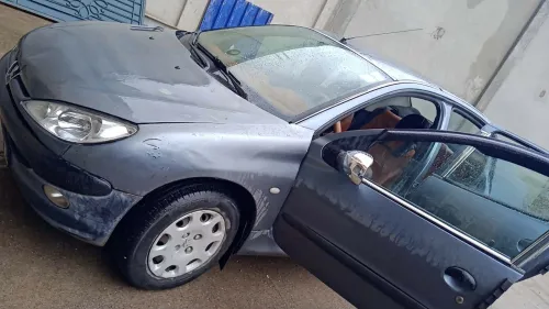 Peugeot 206 Sedan 2008 206 Sedan
