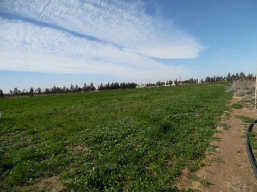 Vente Terrain Agricole Djelfa Djelfa