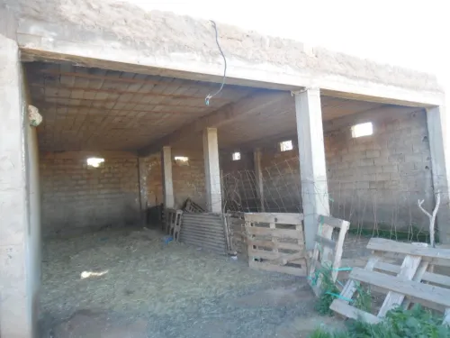 Vente Terrain Djelfa Djelfa