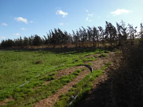 Vente Terrain Djelfa Djelfa