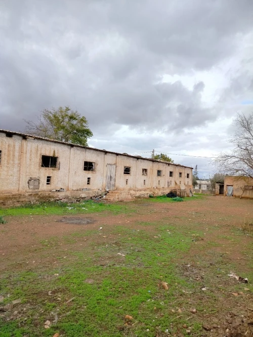 Vente Terrain Agricole Tlemcen Hennaya