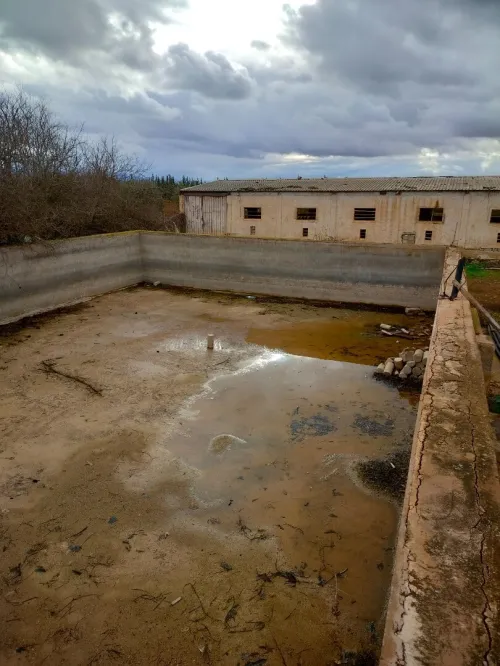 Vente Terrain Agricole Tlemcen Hennaya