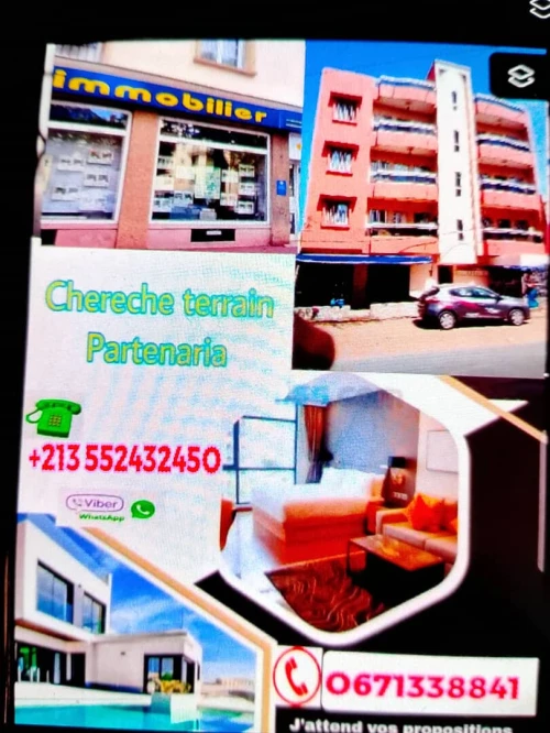 Cherche achat Terrain Alger Les eucalyptus
