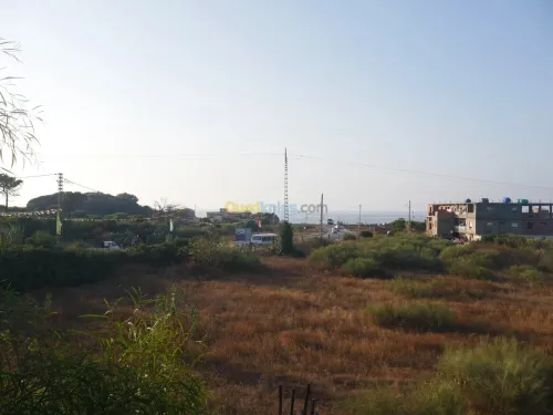 Vente Terrain Jijel Sidi abdelaziz