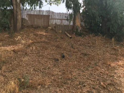 Vente Villa Aïn Defla Miliana