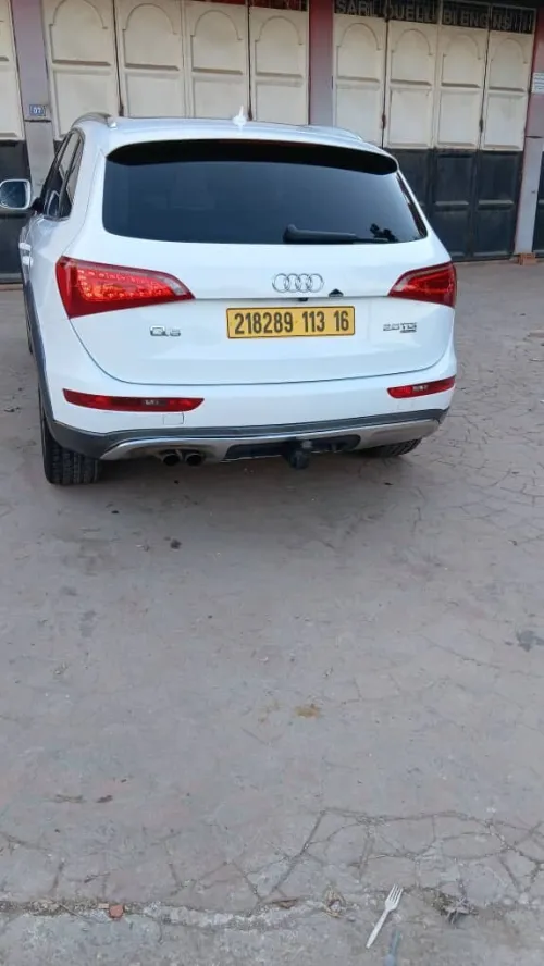 Audi Q5 2013 Offroad
