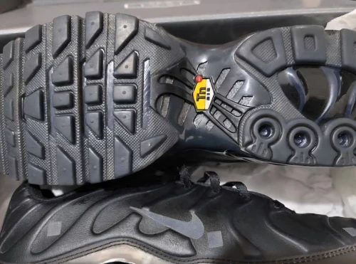 NIKE AIR MAX PLUS ACW*