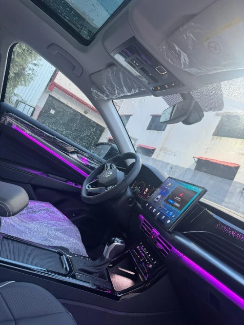 Passat Tsi 2025 