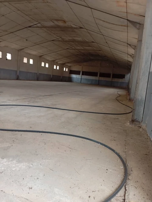 Location Hangar Boumerdès Bouzegza keddara