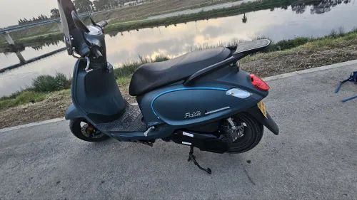 Sym Fiddle 4 2024