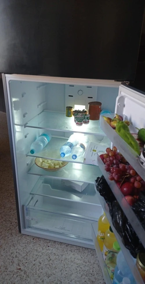 Frigo
