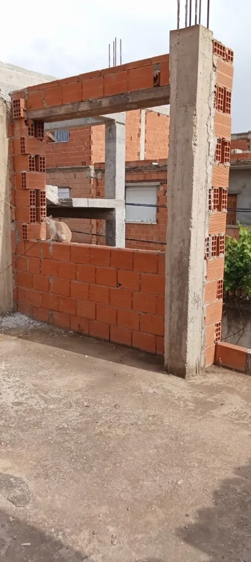 Vente Villa Blida Ben khellil